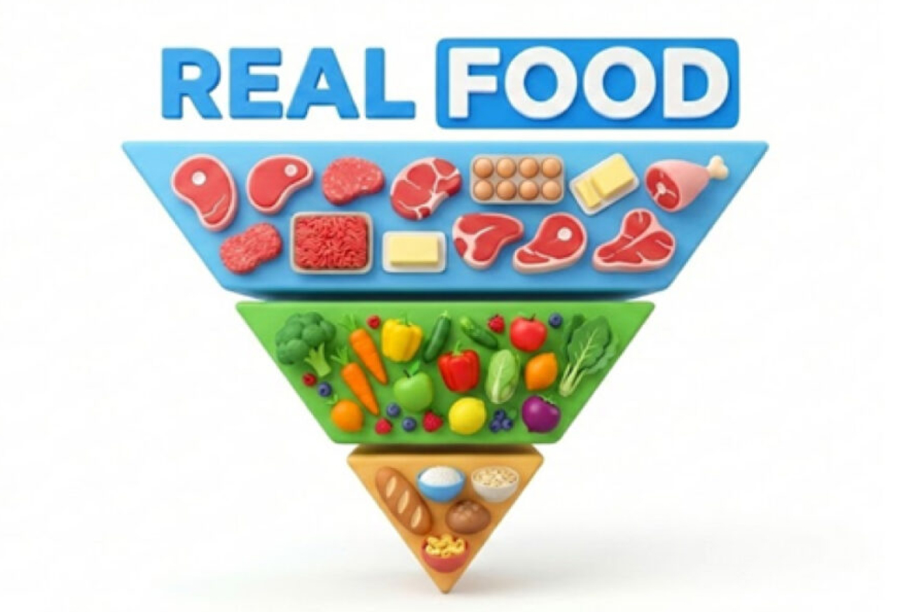 פירמידת המזון החדשה 2026: תמצית המדריך למהפך התזונתי האמריקאי