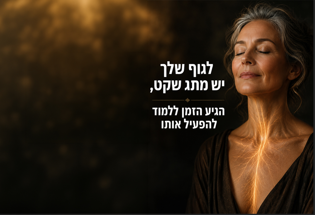 עצב הוואגוס: 3 פעולות קטנות להפחתת סטרס וחיזוק החוסן