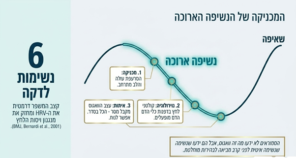 עצב הוואגוס